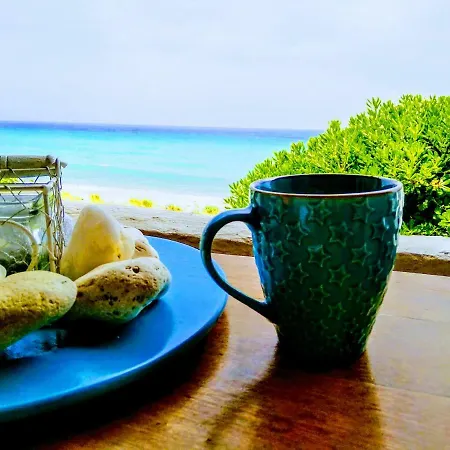 בית נופש House By The Sea